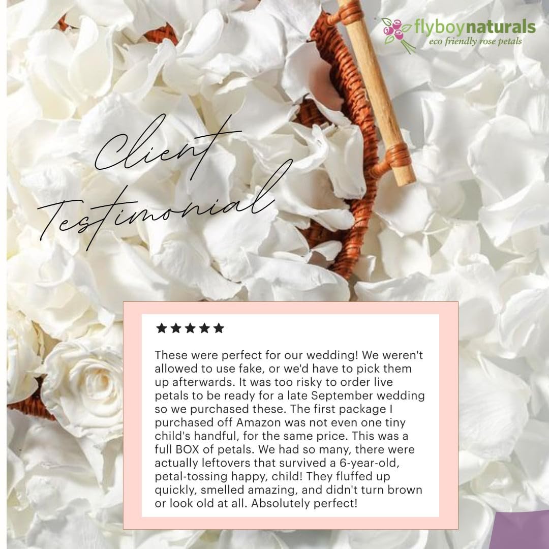 2000+ Freeze-Dried Ivory Rose Petals (60 Cups) - Premium Wedding Decor by Flyboy Naturals | Perfect for Aisle Scattering, Table Centerpieces & Romantic Events