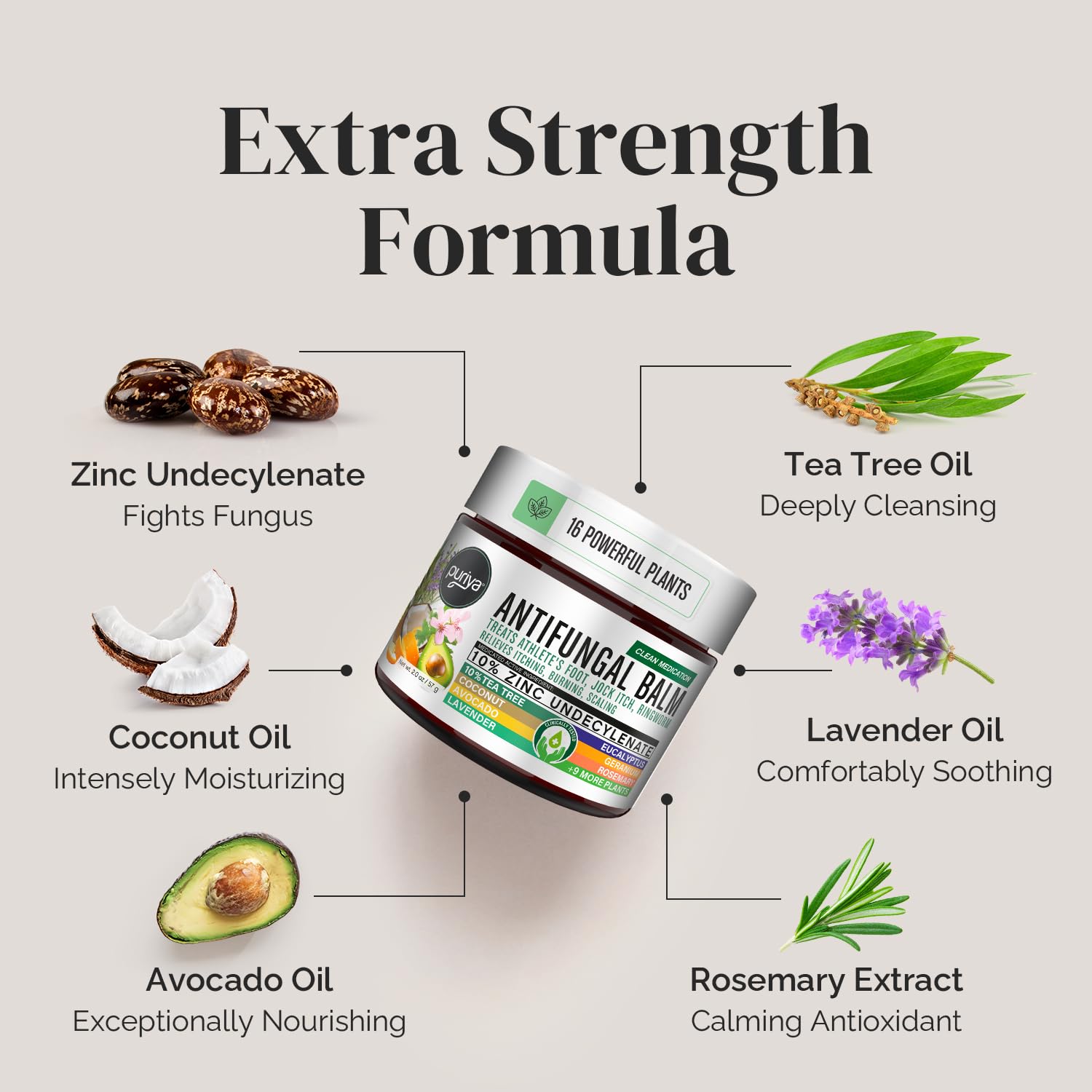 Puriya Tea Tree Oil Antifungal Cream - Extra Strength Plant-Based Treatment for Athlete's Foot, Jock Itch & Ringworm - Soothing Itchy Skin Relief for Men & Women - Ideal for Gym, Sports & Daily Foot Care