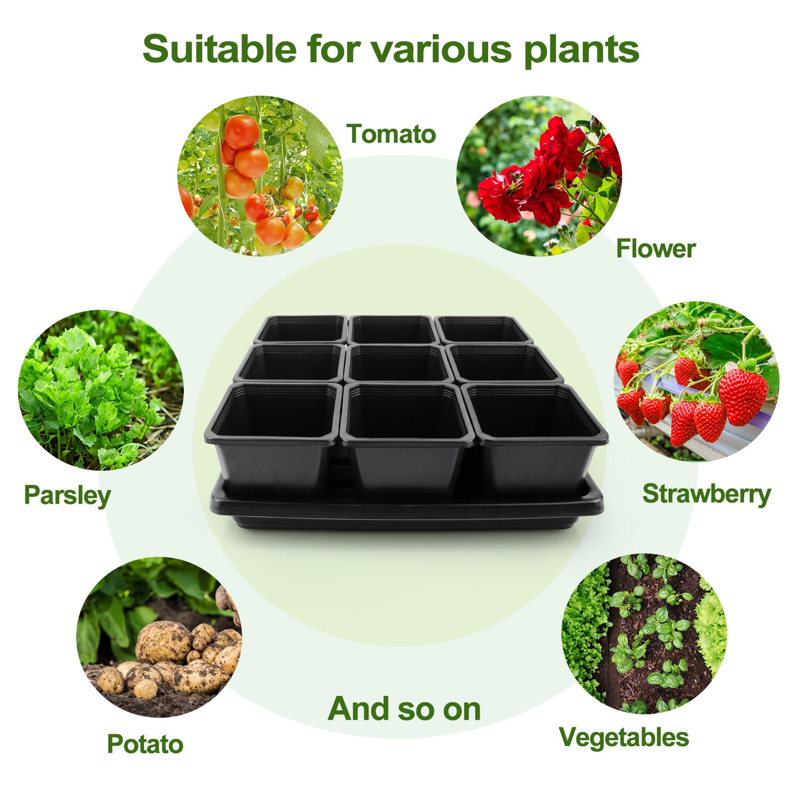 50Pcs 3.5 Inch Square Seed Starter Pots with Drain Holes & 5Pcs Seed Trays - Plant Nursery Propagation Kit for Indoor/Outdoor Gardening, Herb Growing, Flower Seedlings & Vegetable Germination