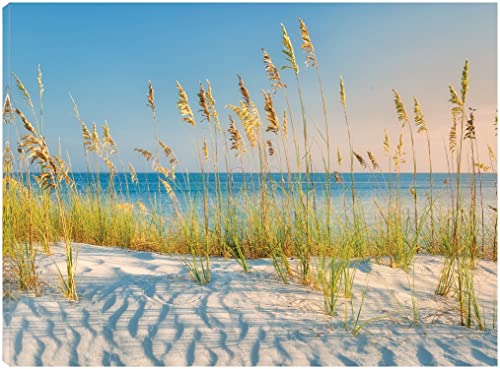 Sand & Sea