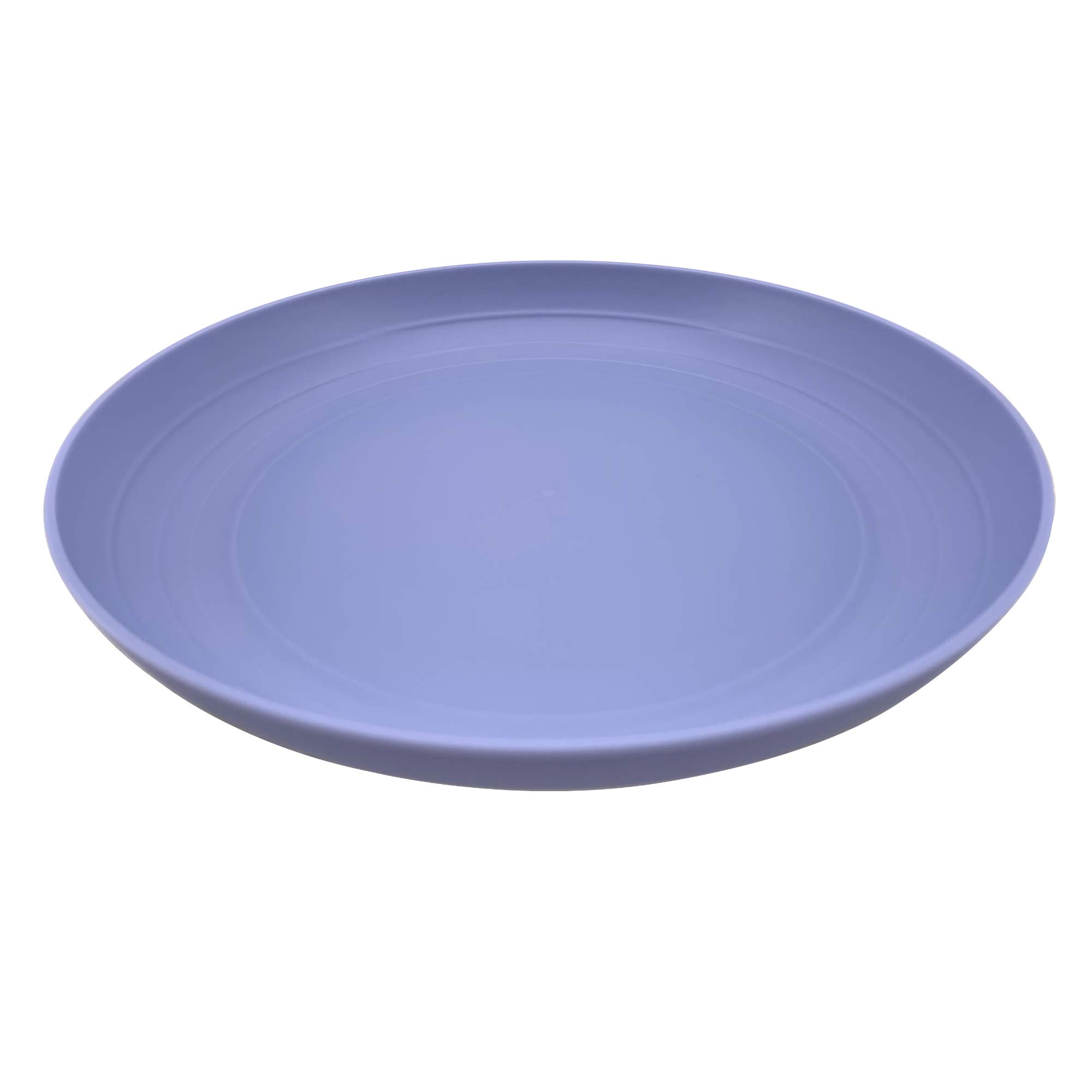 AOYITE 8 Inch Reusable Plastic Plates Set of 6 - Unbreakable BPA-Free Dinner Plates, Dishwasher & Microwave Safe for Kids, Kitchen, Party, Camping & Outdoor Picnics