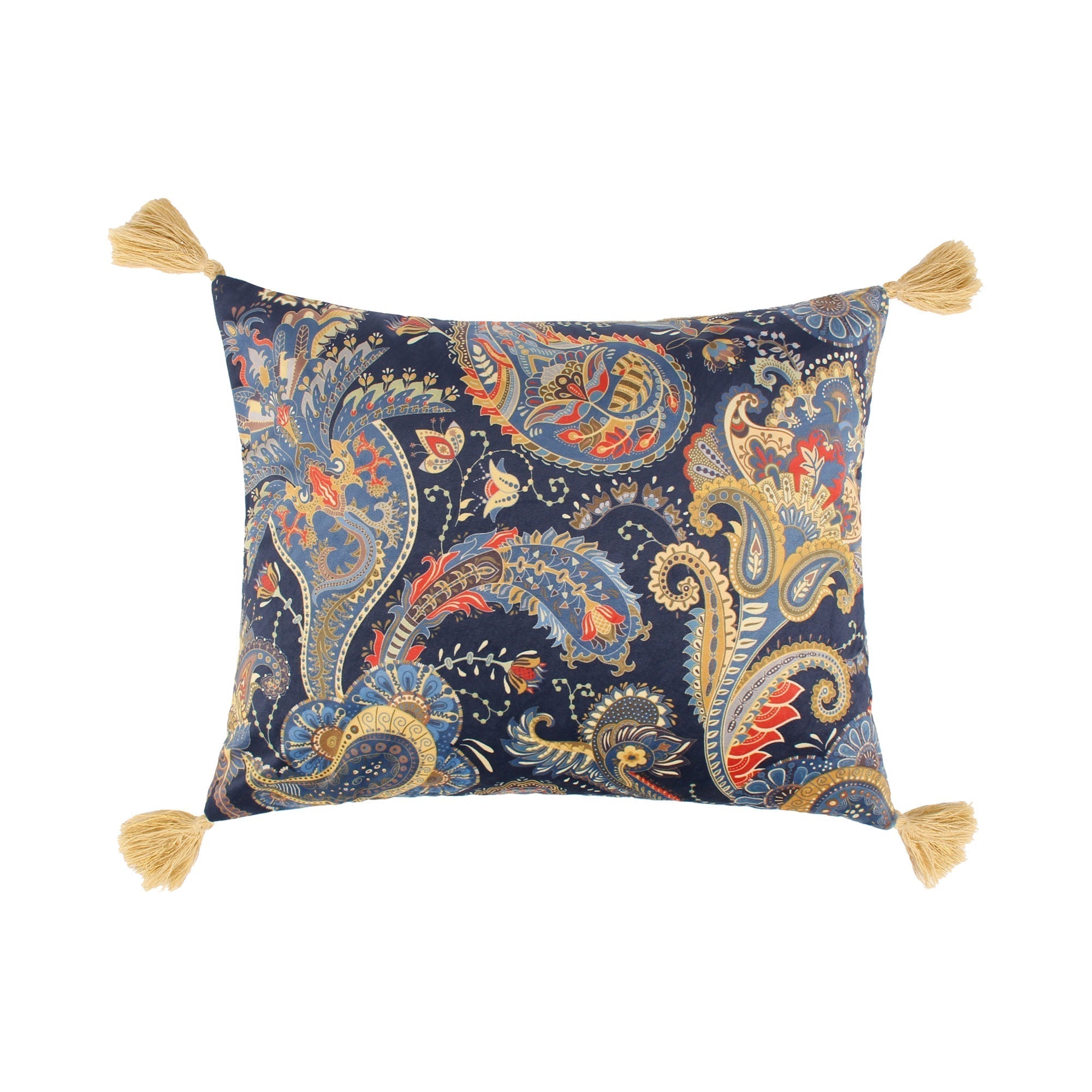 Printed Velvet Paisley Tassel Pillow - Bohemian Decorative Throw Pillow Cover for Sofa, Bed, Couch - Home Decor Accent for Living Room, Bedroom