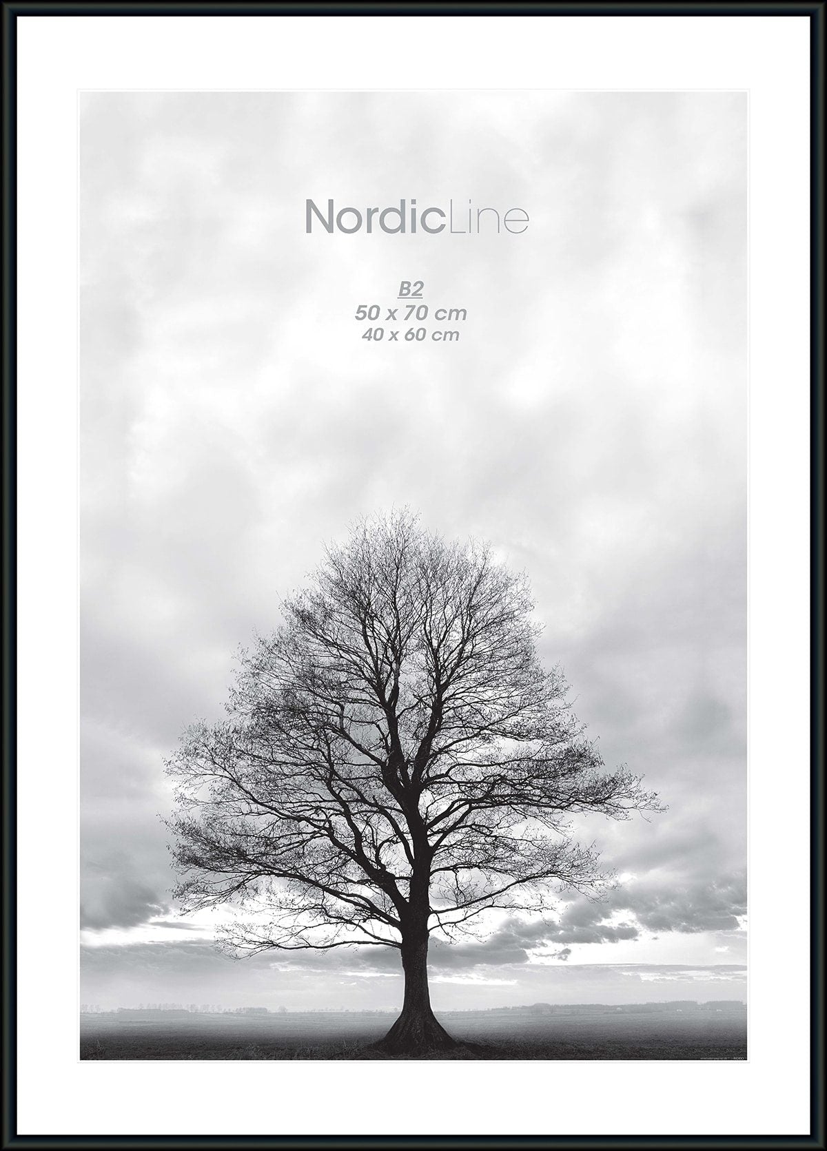 Premium Nordic Slim Black Plexiglass Frame - A3 Size for Wall Art, Photos & Modern Home Decor