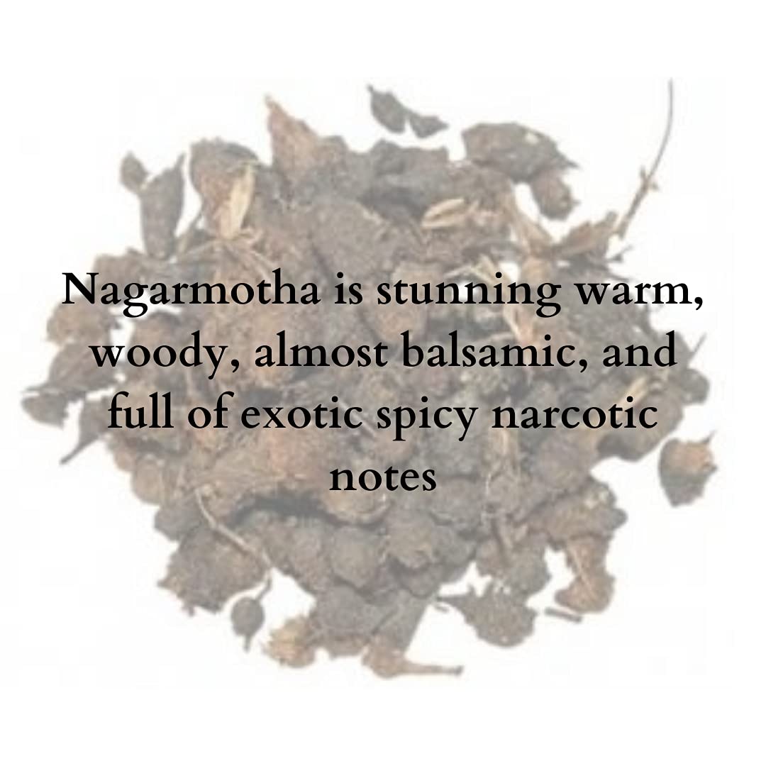 Sugandhim Handmade Nagarmotha Ayurvedic Soap - 95g Natural Luxurious Bath Bar for Face & Body | Moisturizing, Exfoliating & Aromatherapy | Perfect for Spa, Gifting & Daily Skincare Routine