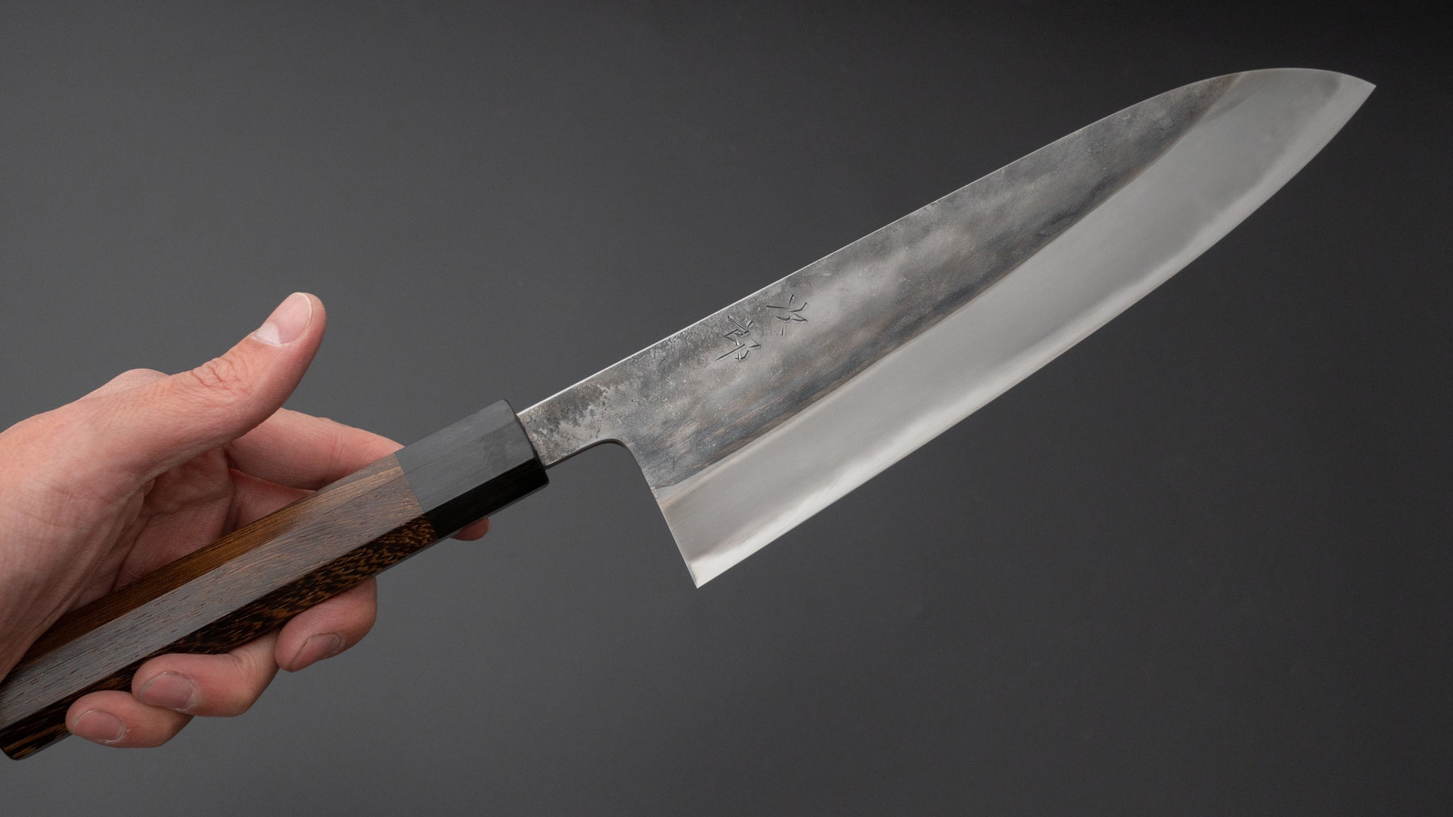 Premium Jiro Tsuchime Wa Gyuto 225mm Japanese Chef Knife with Taihei Tagayasan Handle - Perfect for Sushi, Meat Cutting & Professional Kitchen Use (#464)