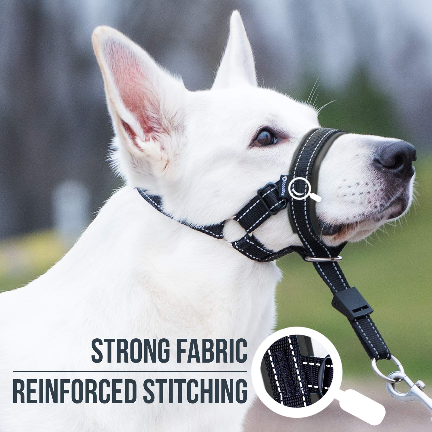 **GoodBoy No-Pull Dog Head Halter with Safety Strap – Gentle Leash Training for Small, Medium & Large Dogs – Padded Comfort Design – Includes Training Guide (Size 2, Black) – Perfect for Walks, Hiking & Obedience Training**
