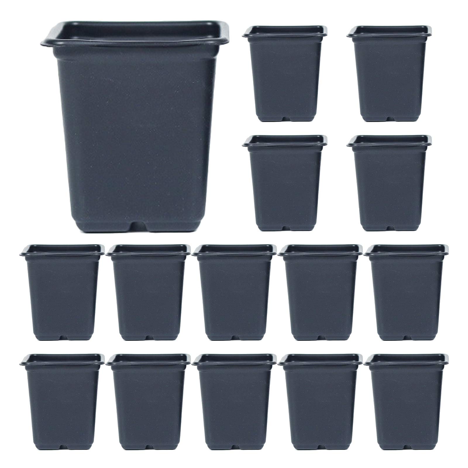 7CM Square Nursery Pots - 10 Pack Black Reusable Plastic Seed Starting Cups, Durable Plant Grow Containers for Indoor Herb Garden, Balcony, Office & Home Decor | Perfect for Seedlings, Succulents & Small Plants