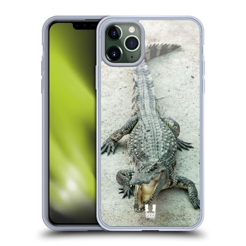Open-Mouthed Crocodile
