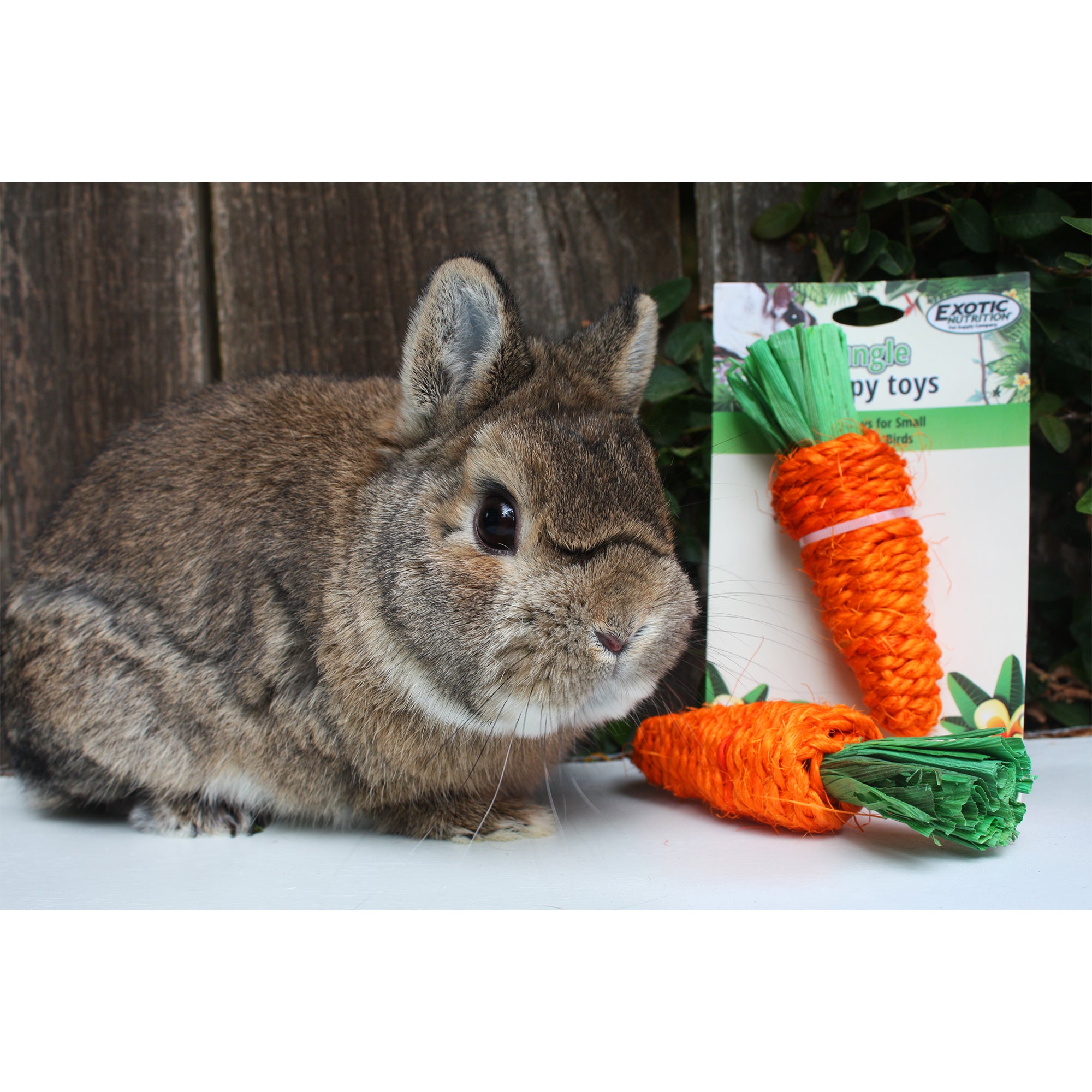 Natural Woven Grass Carrot Chew Toy for Dogs - Safe & Durable Pet Chew for Teething, Anxiety Relief & Dental Health - Perfect for Small & Medium Breeds