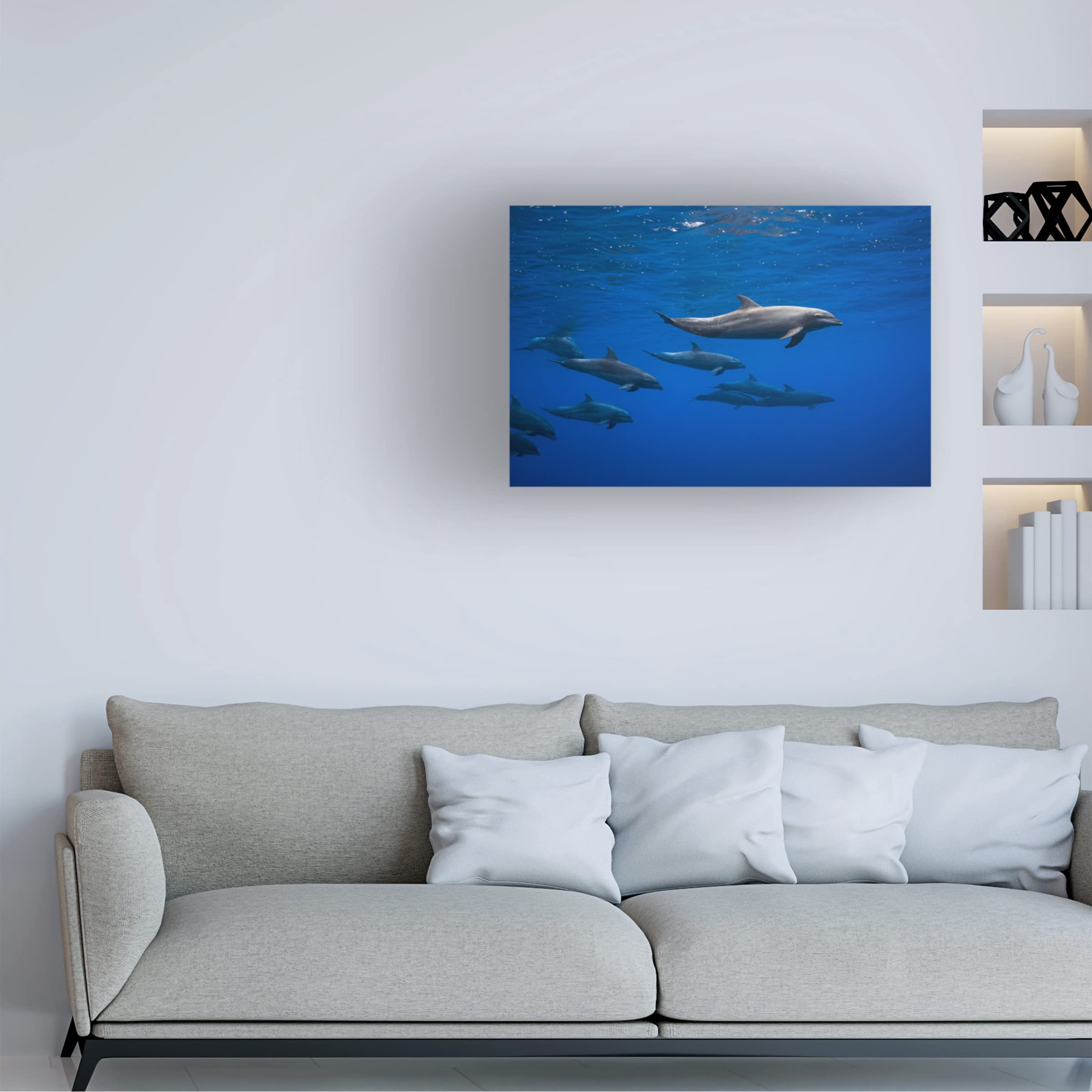 Trademark Fine Art 'Dolphins' Canvas Wall Art by Barathieu Gabriel - Stunning Ocean Wildlife Painting for Living Room, Bedroom & Office Decor