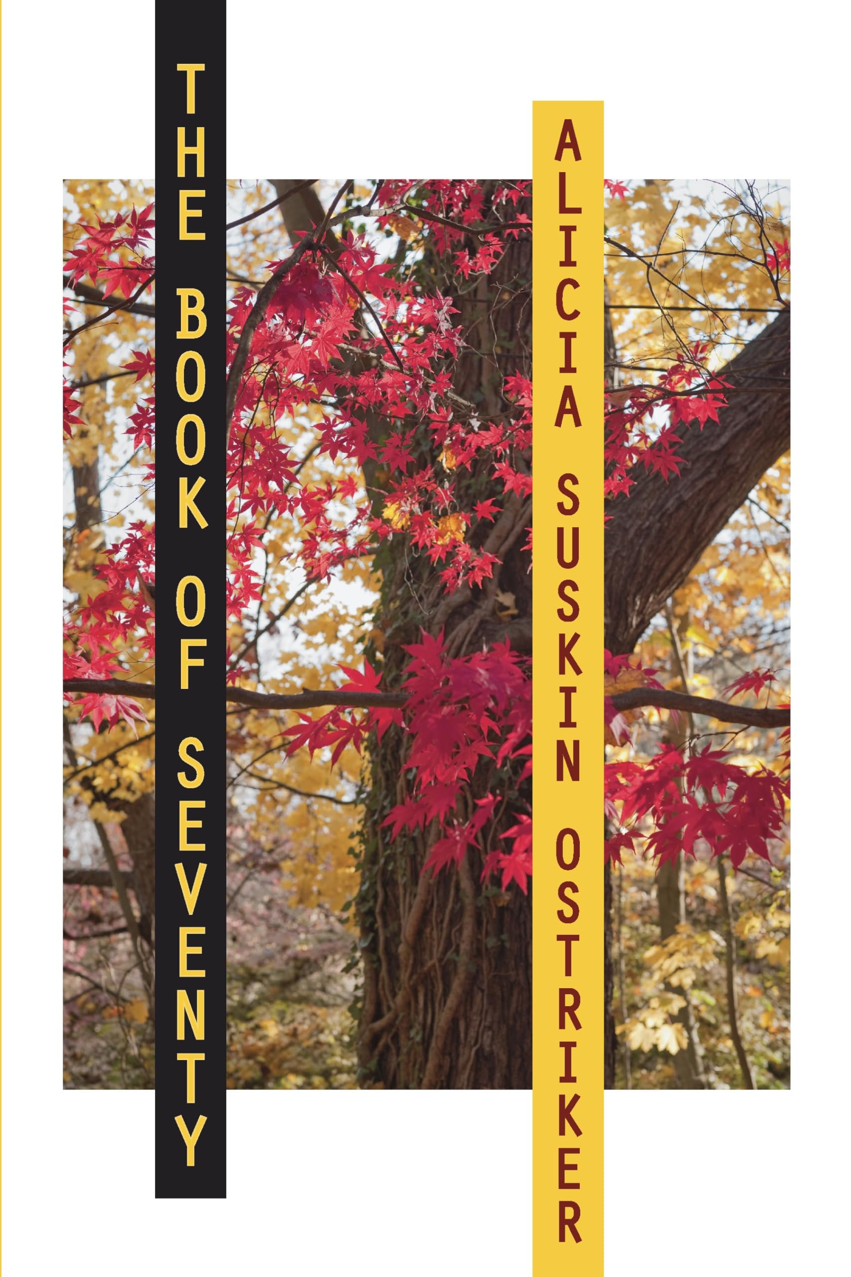 The Book of Seventy (Pitt Poetry Series) - Award-Winning Poetry Collection for Literature Lovers | Perfect for Book Clubs, Gifts & Personal Reading