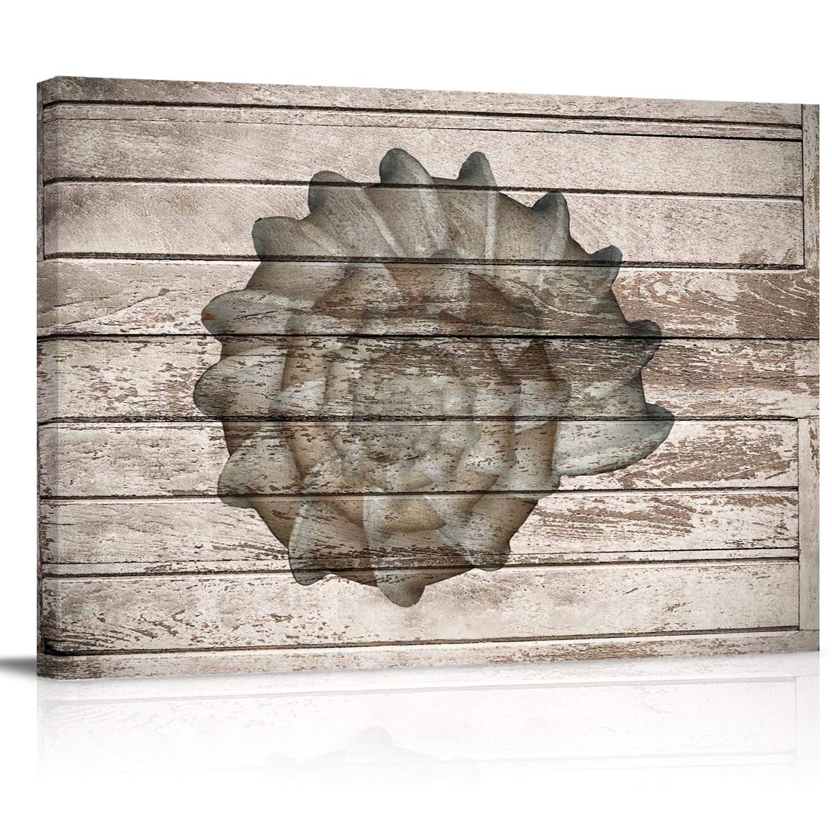 Seashell Oil Painting on Vintage Wood Grain Canvas - 36x24 Inch Wall Art for Home & Bedroom Decor - Ready to Hang - Perfect for Coastal, Beach House or Nautical Theme Rooms