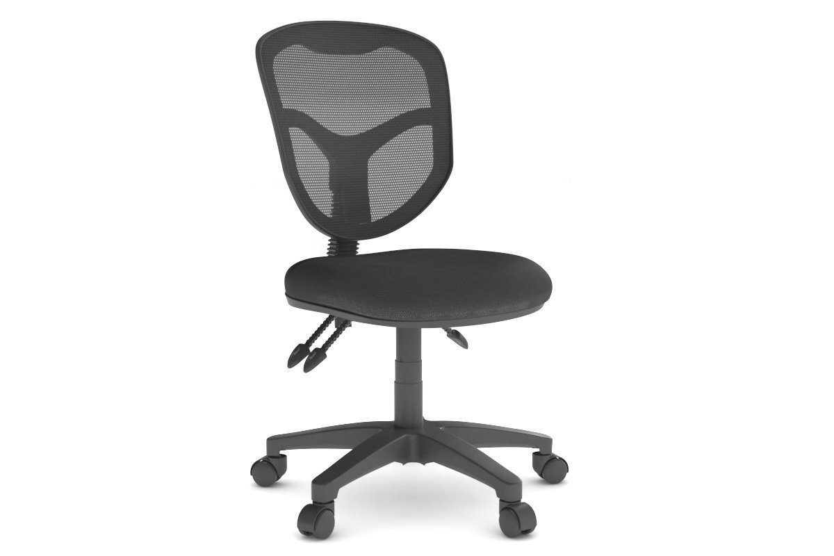 Plover Ergonomic Office Chair with Breathable Mesh Back - Adjustable Lumbar Support & Tilt Function for Home & Office Workspaces