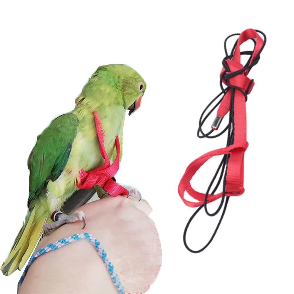 Adjustable Parrot Harness and Leash - Anti-Bite Bird Flight Training Supplies for Conures, Budgies, Lovebirds, Cockatiels & Mynahs - Outdoor Flying Rope (Medium, Red) - Perfect for Safe Outdoor Adventures and Flight Training