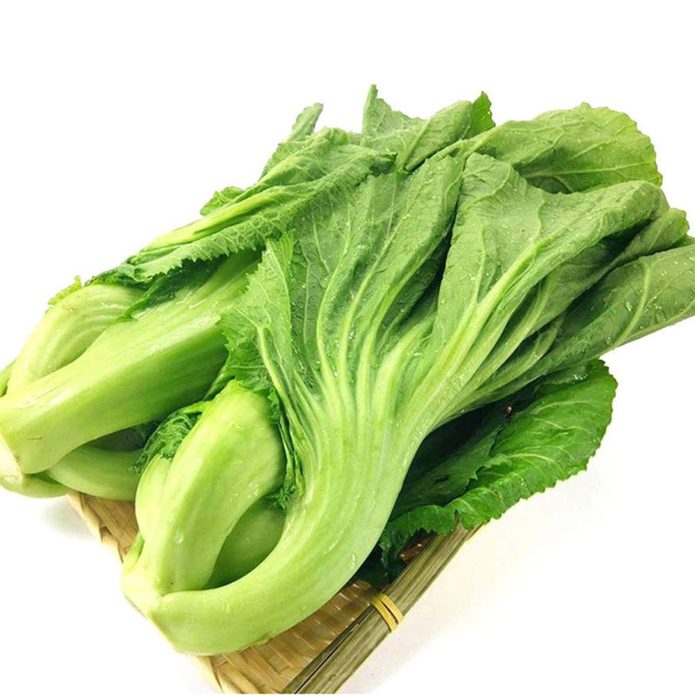 100+ Non-GMO Chinese Mustard Cabbage Seeds (GAI Choi) - Green Leaf Vegetable for Home Gardening, Asian Cooking & Organic Farming