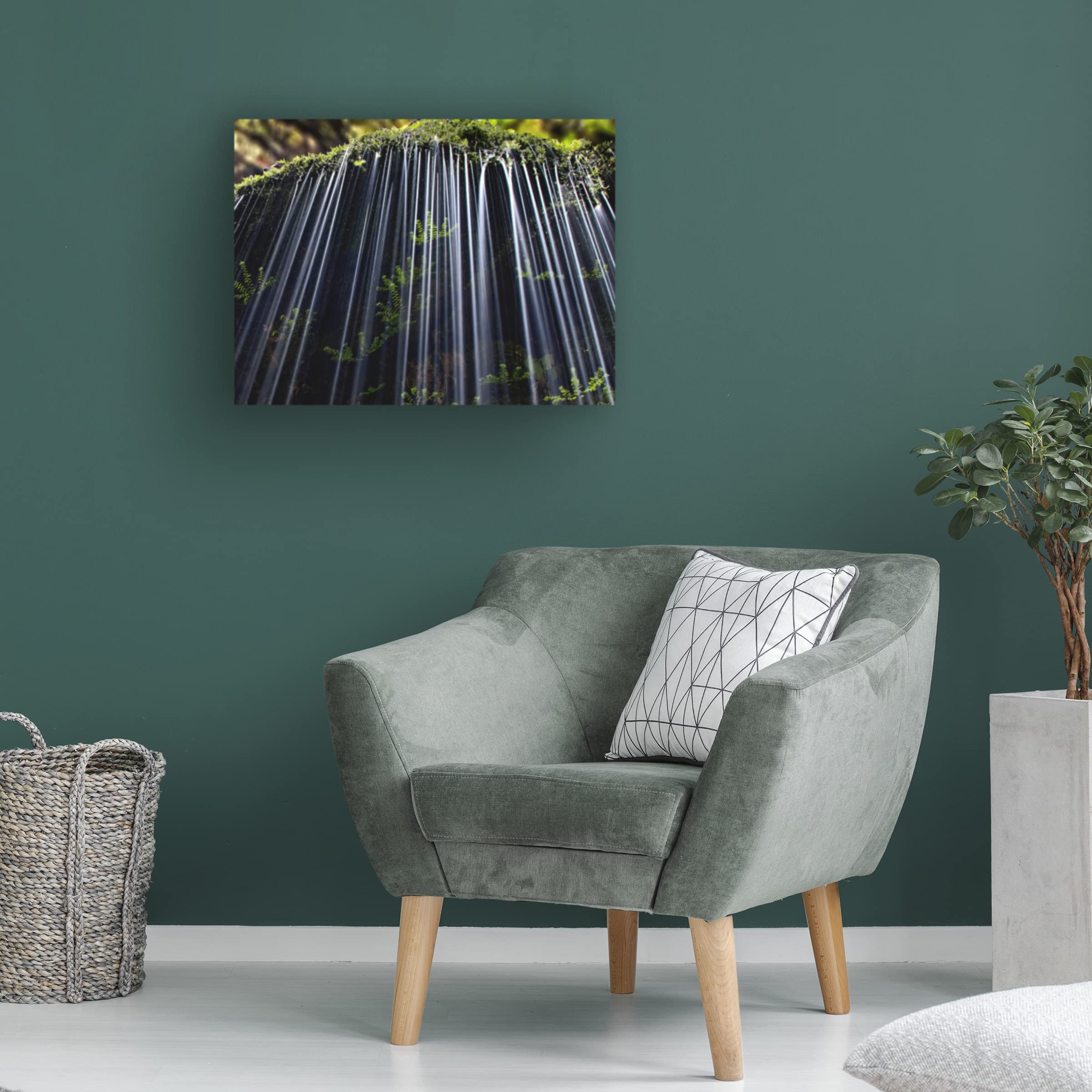 Andrew J. Lee 'Ferns In Spring' Canvas Wall Art Print - Nature Botanical Decor for Living Room, Bedroom & Office