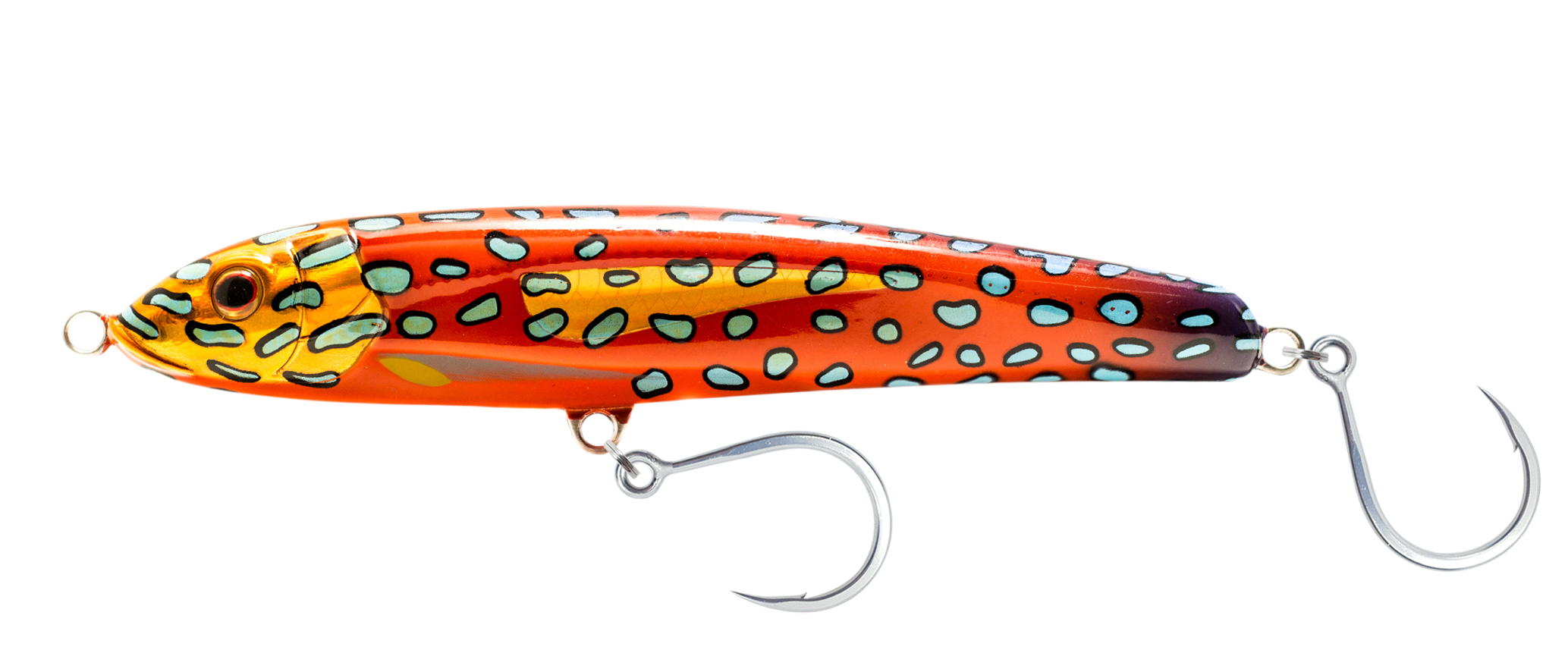 Coral Trout