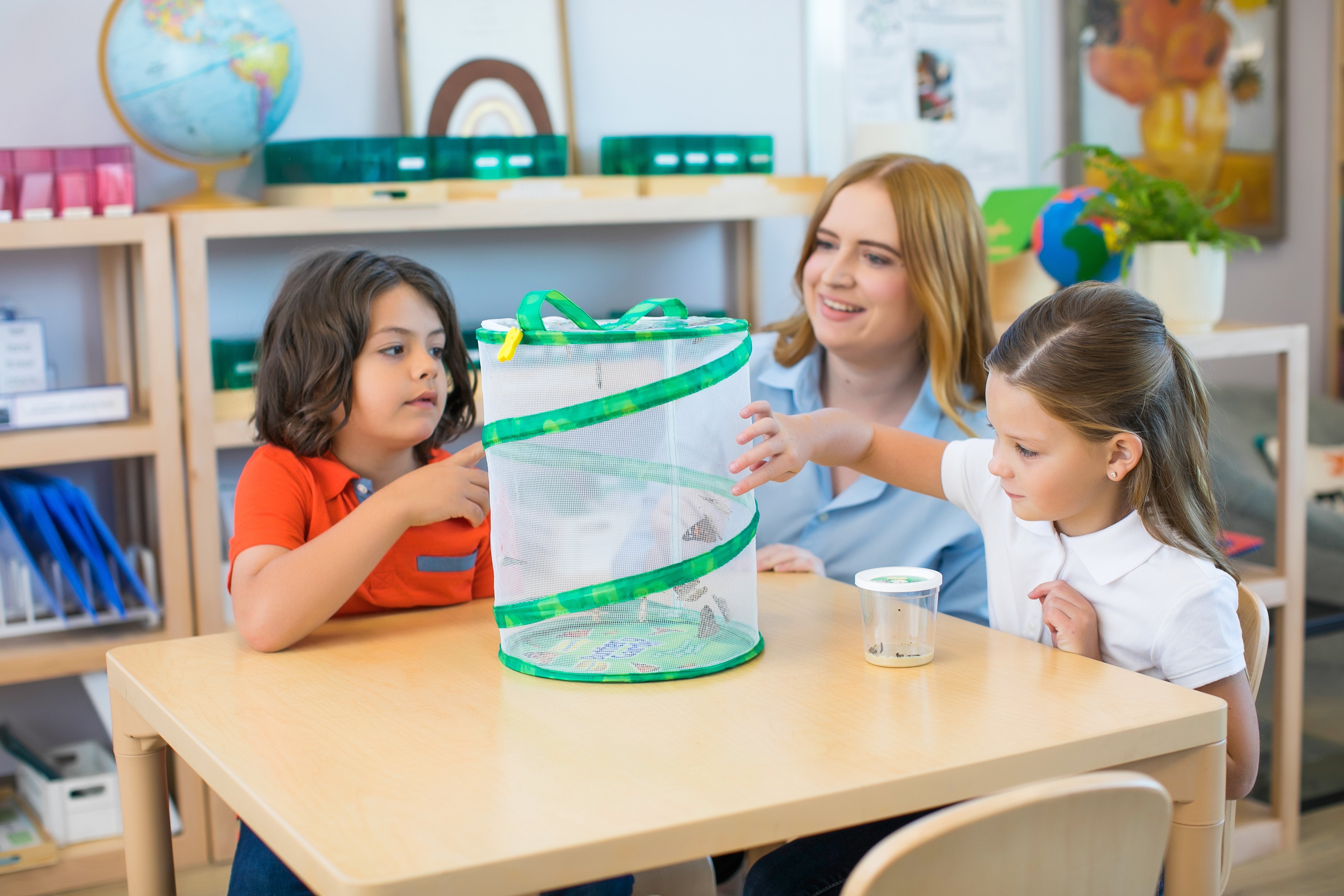 Insect Lore Butterfly Garden Kit with Live Caterpillars - Grow Your Own Butterflies at Home | STEM Educational Toy for Kids | Perfect for Classroom & Homeschool Science Projects