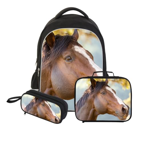 Horse11