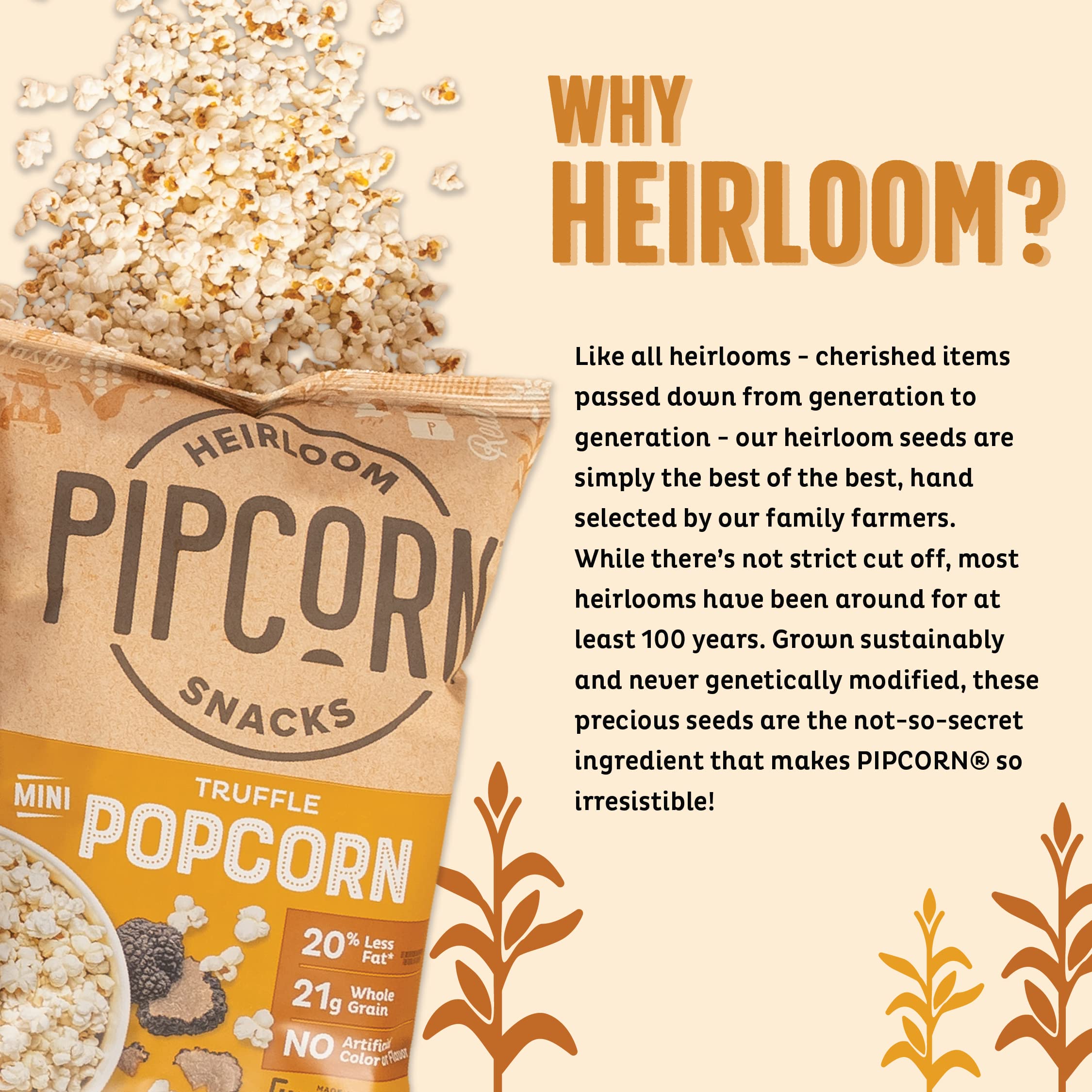 Pipcorn Heirloom Mini Popcorn Variety Pack - Sea Salt & Truffle (4.5oz, 6pk) | Gluten Free Healthy Snacks | Non-GMO Heirloom Corn | Perfect for Movie Nights, Office Snacks & School Lunches
