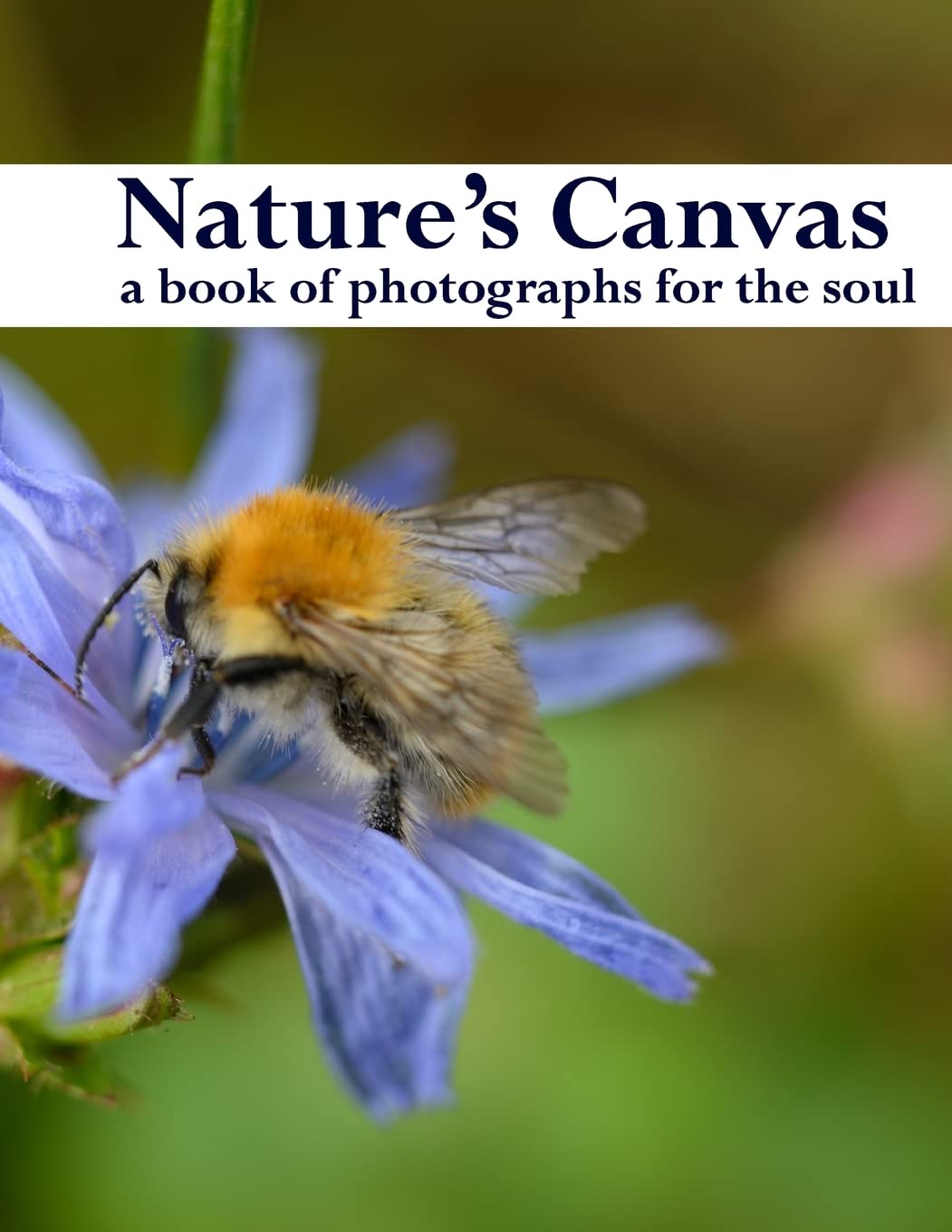 Nature's Canvas: Stunning Coffee Table Photography Book of Relaxing Nature Scenes - Perfect for Home Decor, Gift Ideas & Stress Relief