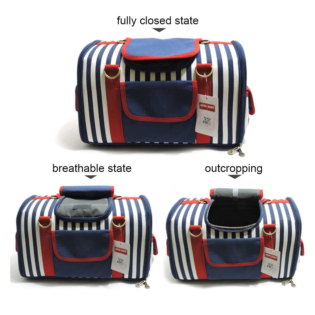 Fashion Pet Carrier for Small Dogs & Cats - Collapsible Portable Pet Travel Bag with Adjustable Shoulder Strap | Perfect for Air Travel, Hiking, Walking & Outdoor Adventures