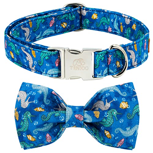hippocampus Collar