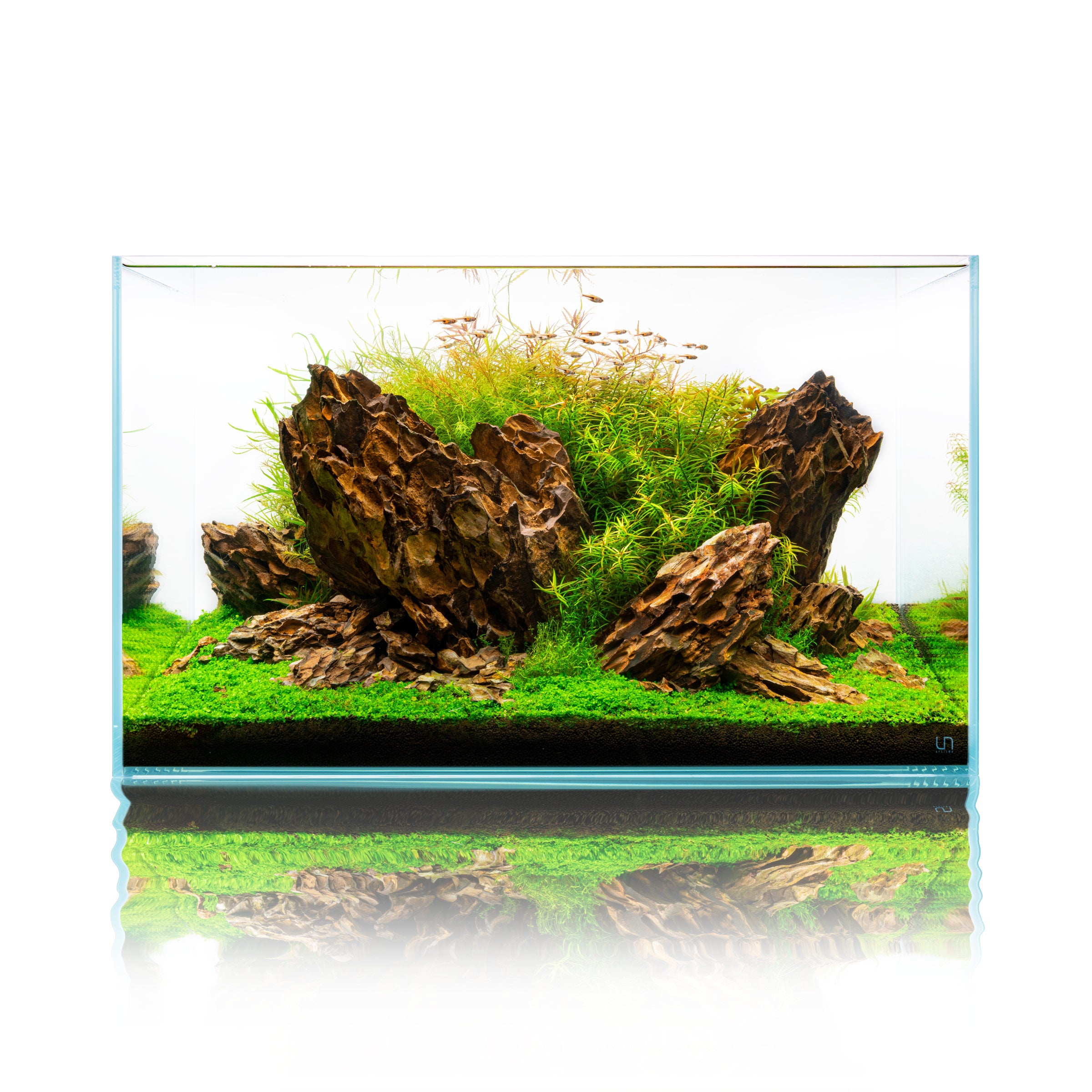 Ohko Dragon Stone Aquarium Rock - Natural Hardscape for Fish Tanks, Aquascaping & Terrariums | Perfect for Shrimp Habitats, Zen Gardens & Reptile Enclosures
