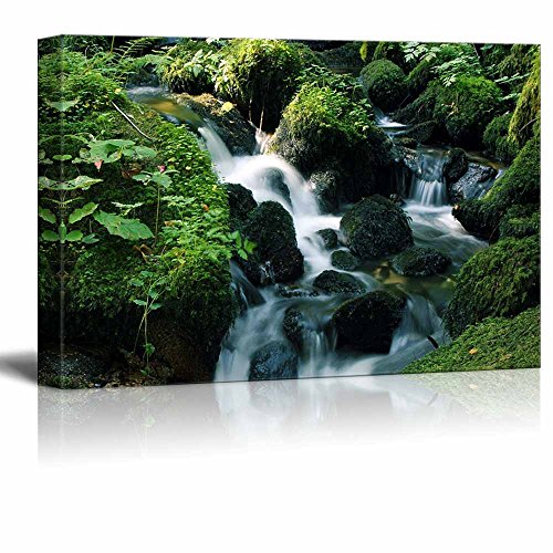 Flowing River