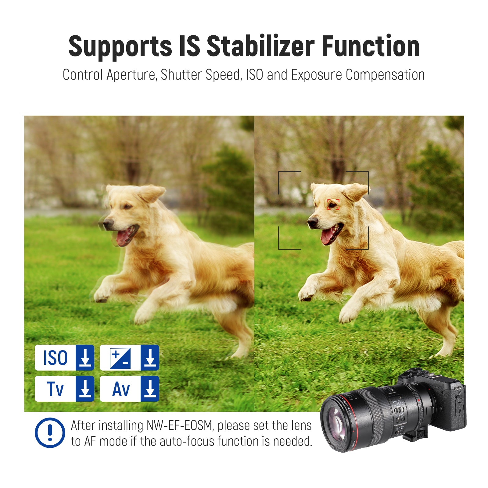 NEEWER EF to EOS M Mount Adapter for Canon EF Lens to EOS M Camera - Perfect for Photography, Videography & Travel Shooting