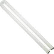 Halco 30303 FB31/841/ECO 31W T8 4100K U-Shaped Fluorescent Light Bulb - Energy Efficient Lighting for Offices, Garages, and Commercial Spaces