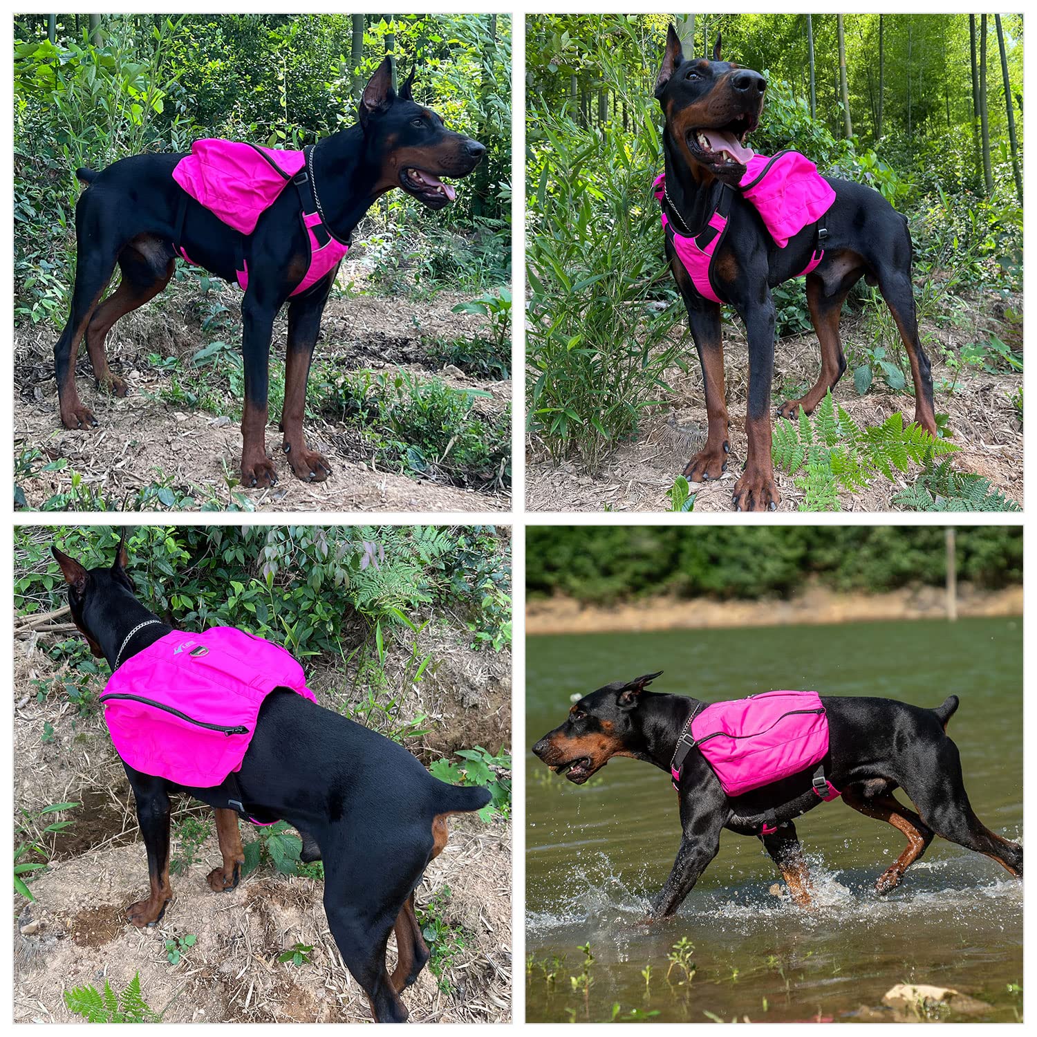 **Waterproof Dog Backpack for Hiking & Travel - Multifunctional Pet Carrier with 2 Spacious Side Pockets - Adjustable Outdoor Saddle Bag for Small, Medium & Large Dogs (Rose Red) - Perfect for Camping, Walks & Adventures**