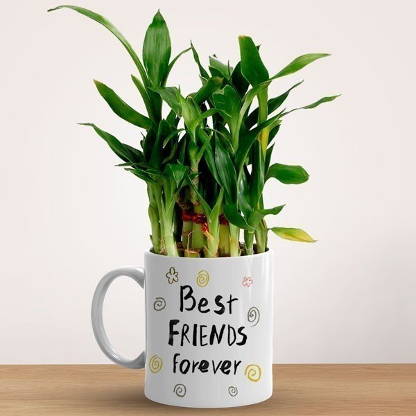 Best Friend Forever Mug with Bamboo Plant - Unique Friendship Gift for Coffee & Tea Lovers - Perfect for Birthdays, Anniversaries & Housewarming Parties