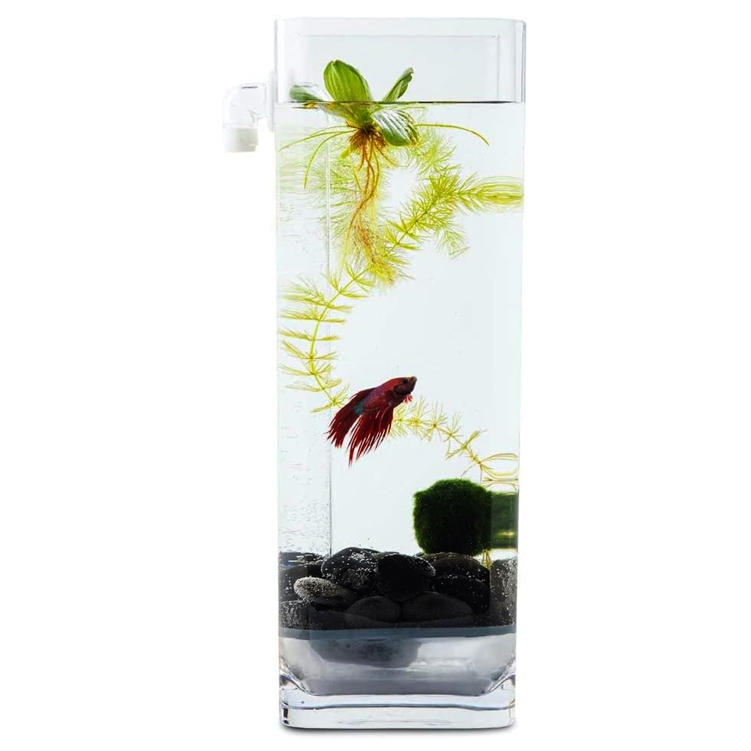 Eco-Friendly Self-Cleaning Betta Fish Tank Kit with Natural River Stones & Fish Food - Perfect for Home, Office Desk & Small Space Aquarium Setup