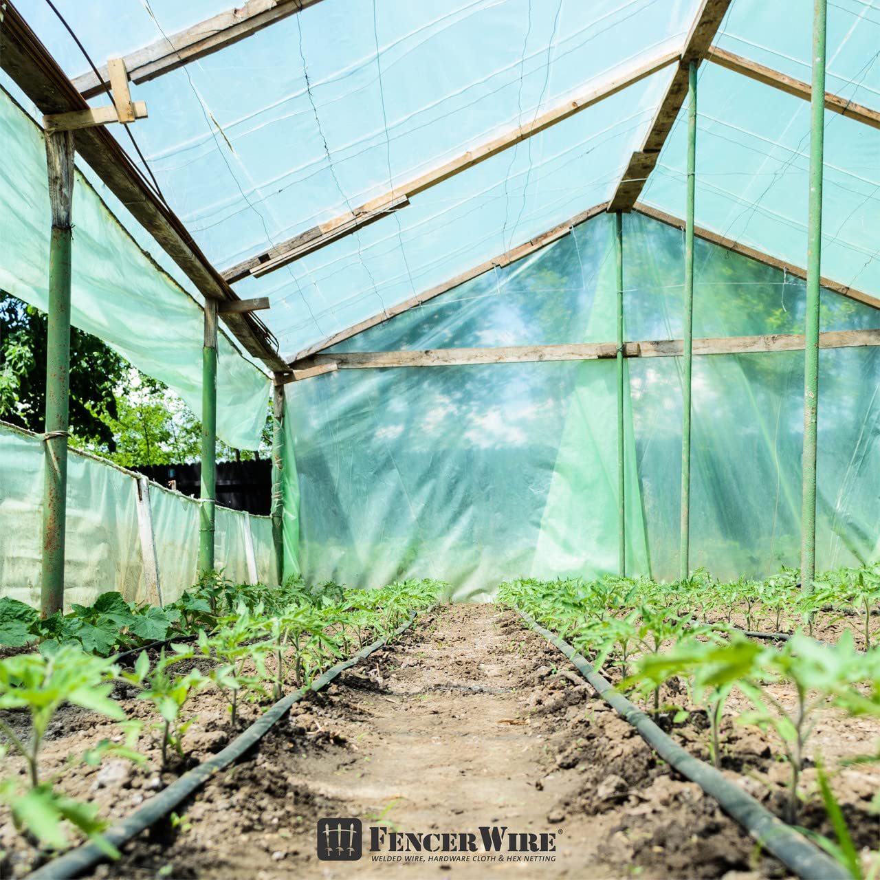 6 mil Clear UV-Resistant Greenhouse Plastic Sheeting - 32' x 50' Polyethylene Film for Hoop House, Horticulture & Farming | 90% Light Transmittance | Durable Cover for Gardening, Agriculture & Plant Protection