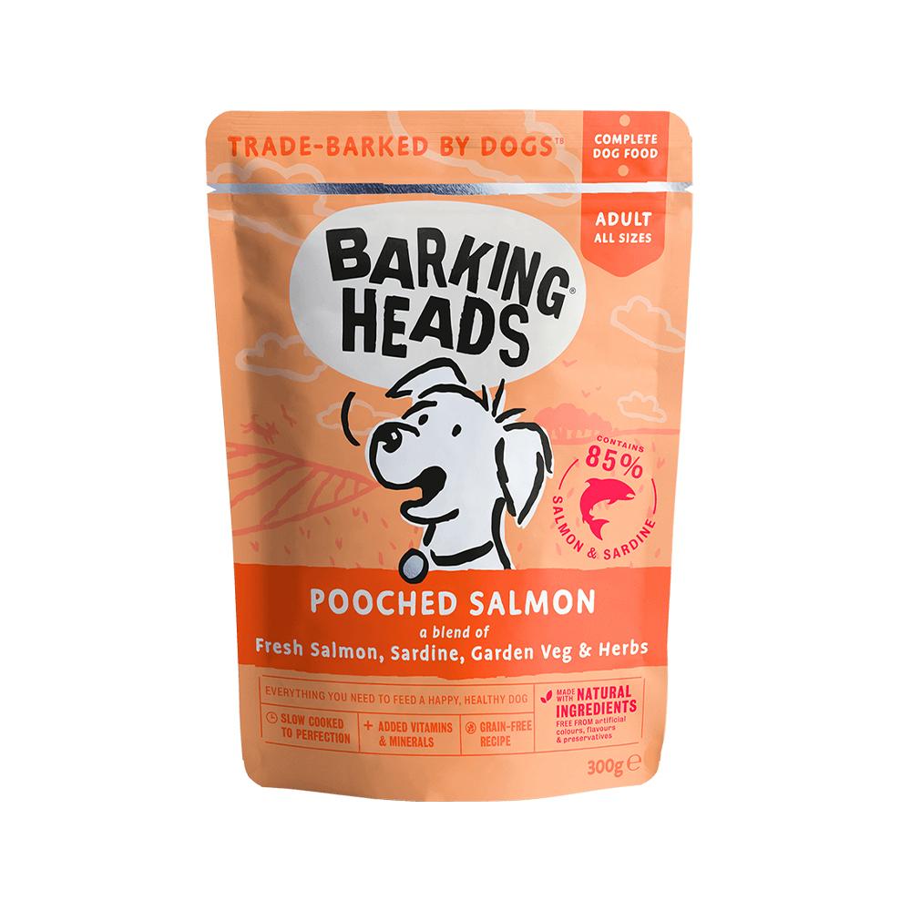 Premium Pooched Salmon Wet Dog Food - Grain-Free, High Protein for Adult Dogs - Perfect for Sensitive Stomachs & Picky Eaters - Ideal for Mealtime, Training Rewards & Travel