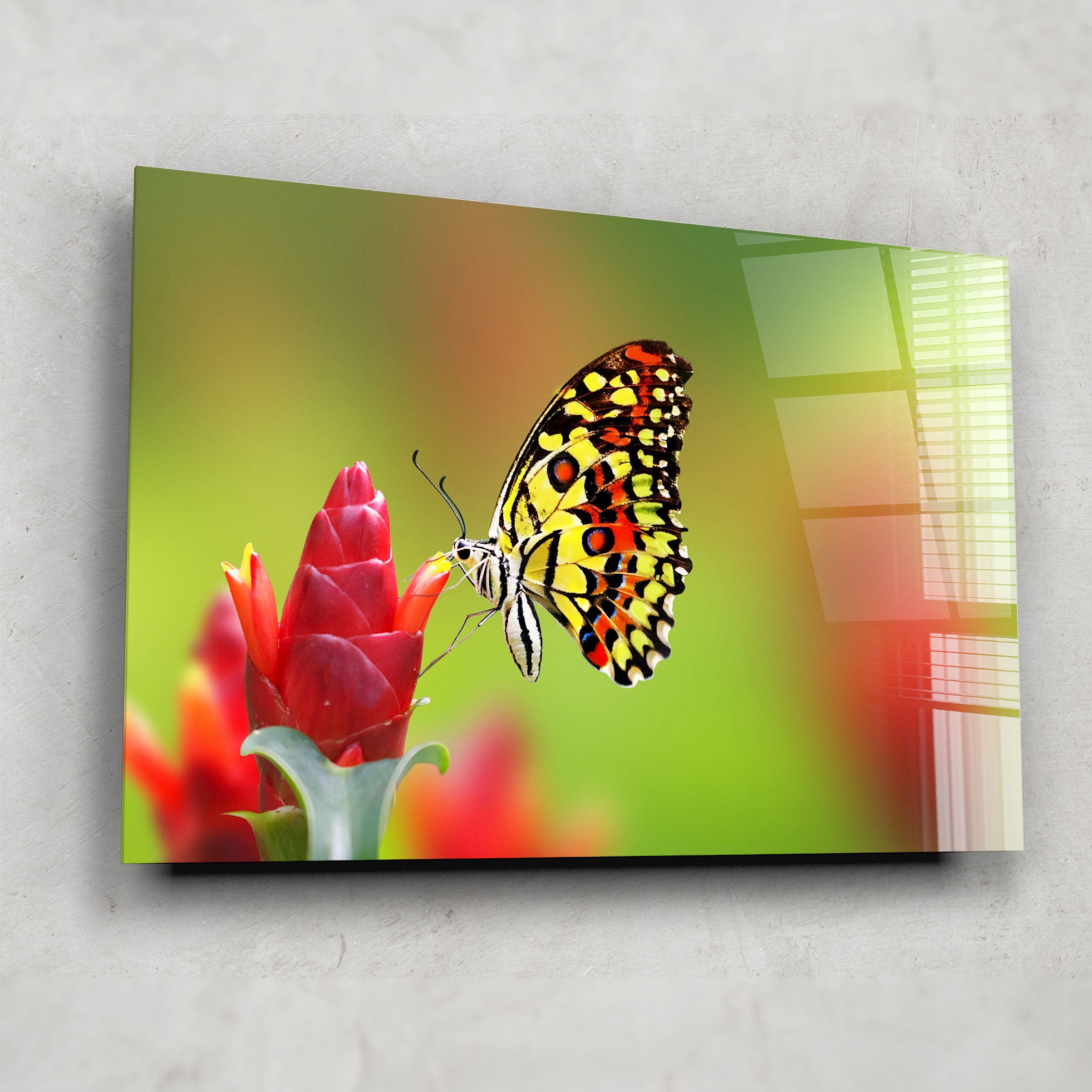 Beautiful Butterfly Decor - Elegant Home & Garden Decorations for Wall, Wedding, Party & Outdoor Use