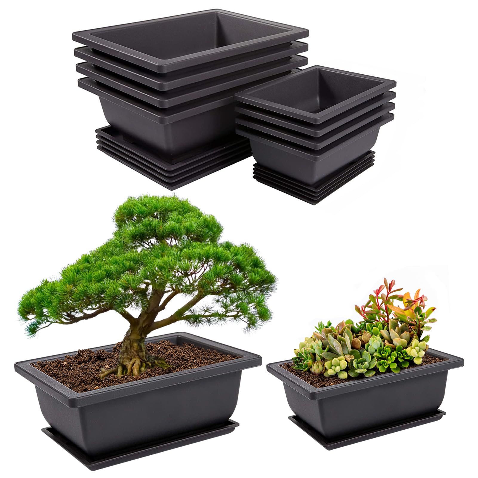 8 Pack Bonsai Training Pots with Humidity Trays - 6.5 & 9 Inch Plastic Plant Nursery Pots Kit with Drainage, Indoor Succulent Garden Decor for Home Office Zen Decor (Perfect for Bonsai, Succulents & Small Plants)