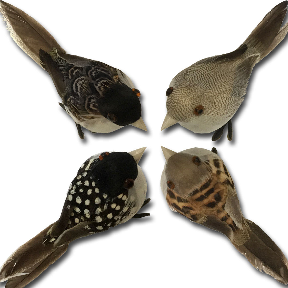 Set of 8 Real Feather Bird Decorations - Natural Handmade Home Decor for Wall, Table & Wedding Centerpieces | Perfect for Boho, Farmhouse & Rustic Interior Design