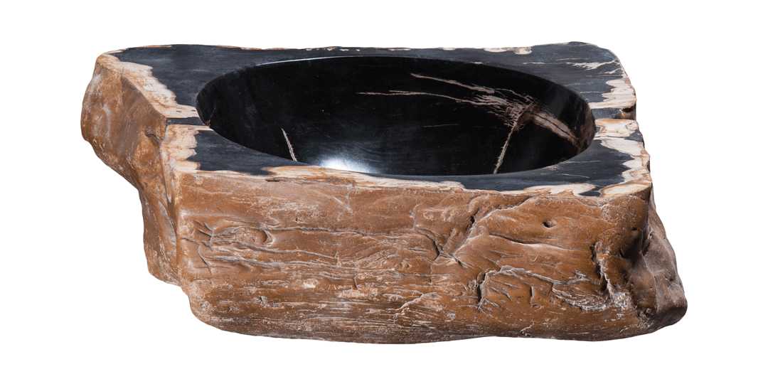 Natural Petrified Wood Bathroom Sink - 17