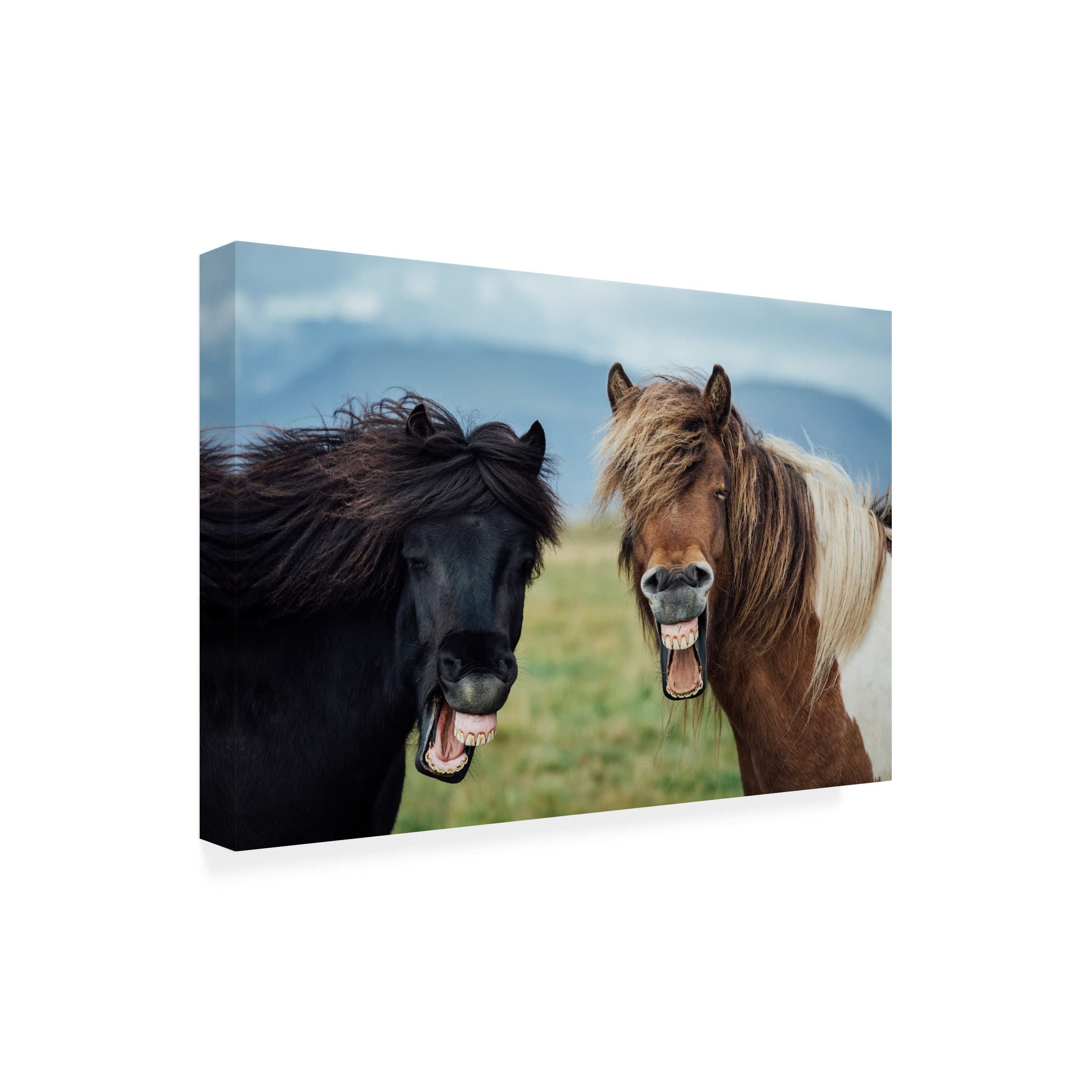 Trademark Fine Art 'Wild Smile' Canvas Wall Art by Nir Amos - Modern Abstract Painting for Living Room, Bedroom & Office Decor
