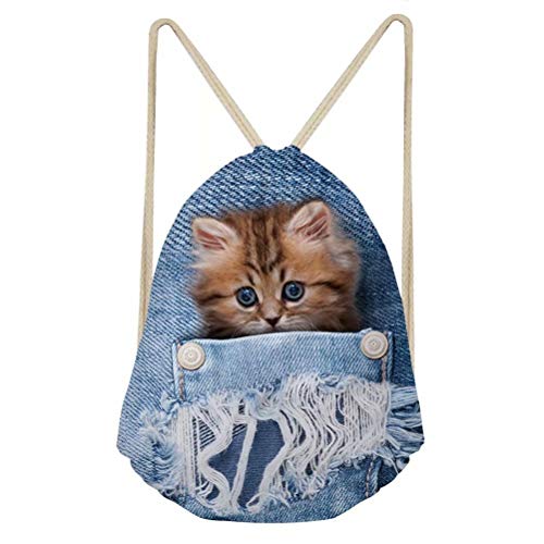 Denim Cat