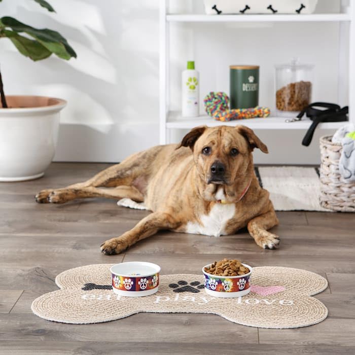 **Non-Slip Ceramic Pet Bowls for Food & Water – Bone Dry Design, Less Messy Feeding – Microwave & Dishwasher Safe Small Set (4.25x2 Inches) – Peace Paw, 2 Count – Perfect for Cats & Dogs at Home or Travel**