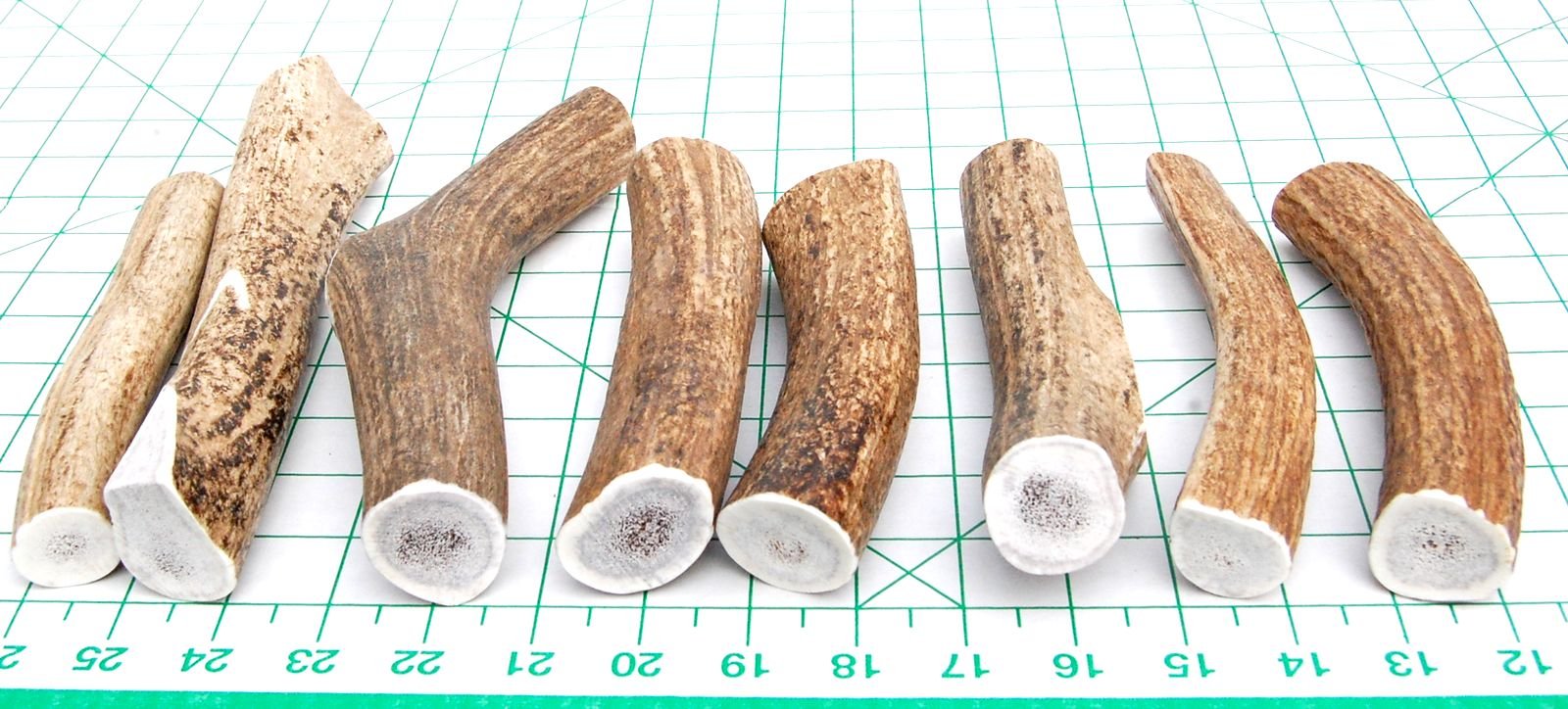 Premium Extra Large 2-Pack Elk Antler Dog Chews (6-10 Inches) - Natural Long-Lasting Dental Treats for Medium & Large Breed Dogs & Puppies - Perfect for Aggressive Chewers, Teething Relief & Dental Health