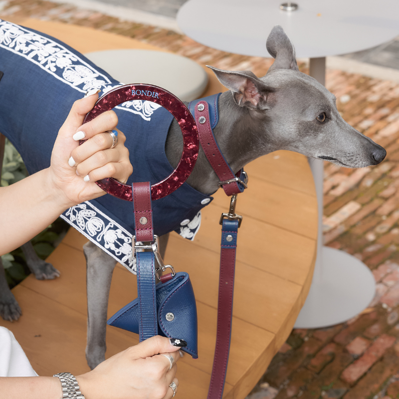 Premium Rosette Leather Dog Leash - Durable & Stylish for Small to Medium Dogs - Perfect for Daily Walks, Training & Outdoor Adventures