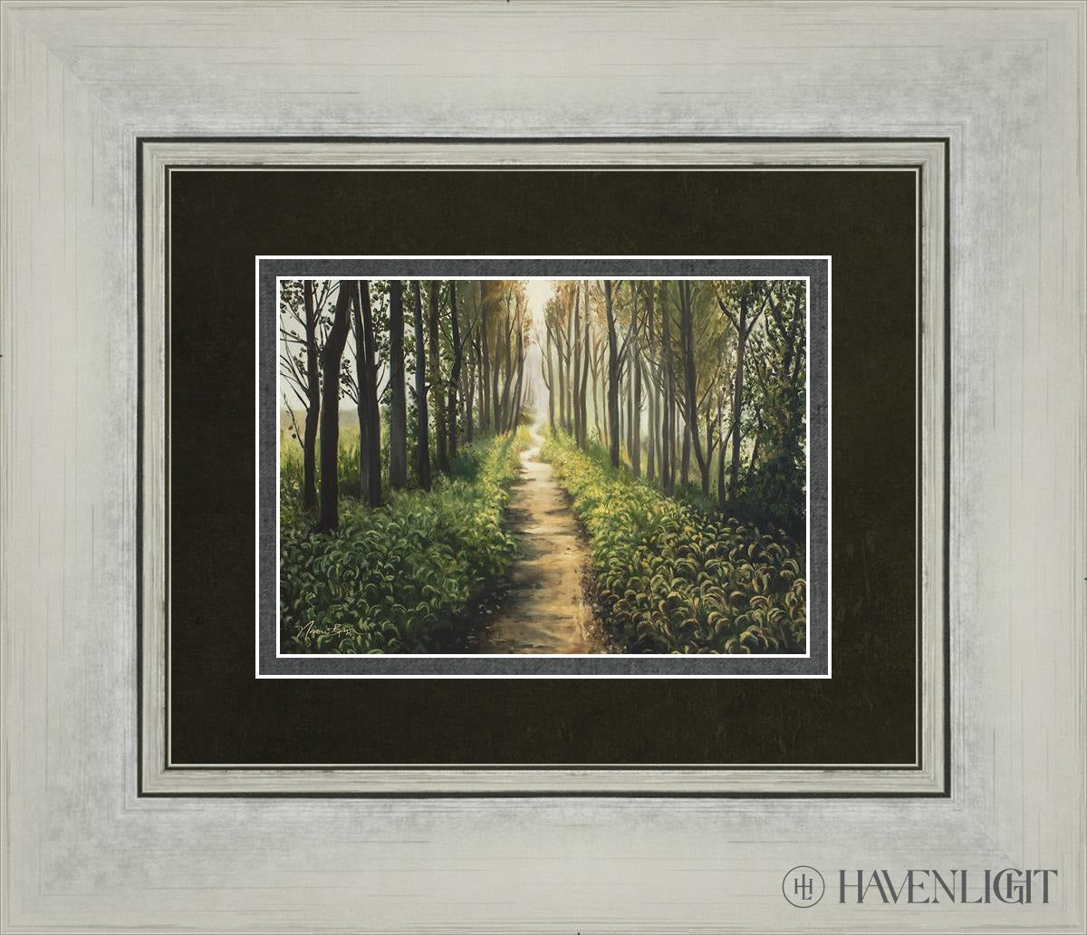 Forest Walkway - Beautiful Wooden Pathway for Gardens, Parks & Trails | Perfect for Outdoor Decor & Nature Walks