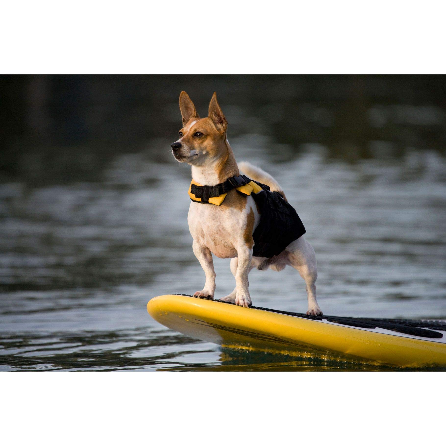 EzyDog Micro Dog Life Jacket - XS Size, Red - Perfect for Swimming, Boating & Water Safety for Small Dogs