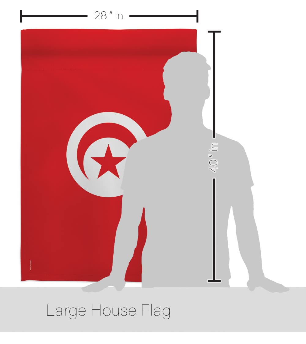 Tunisia National Flag Set 28