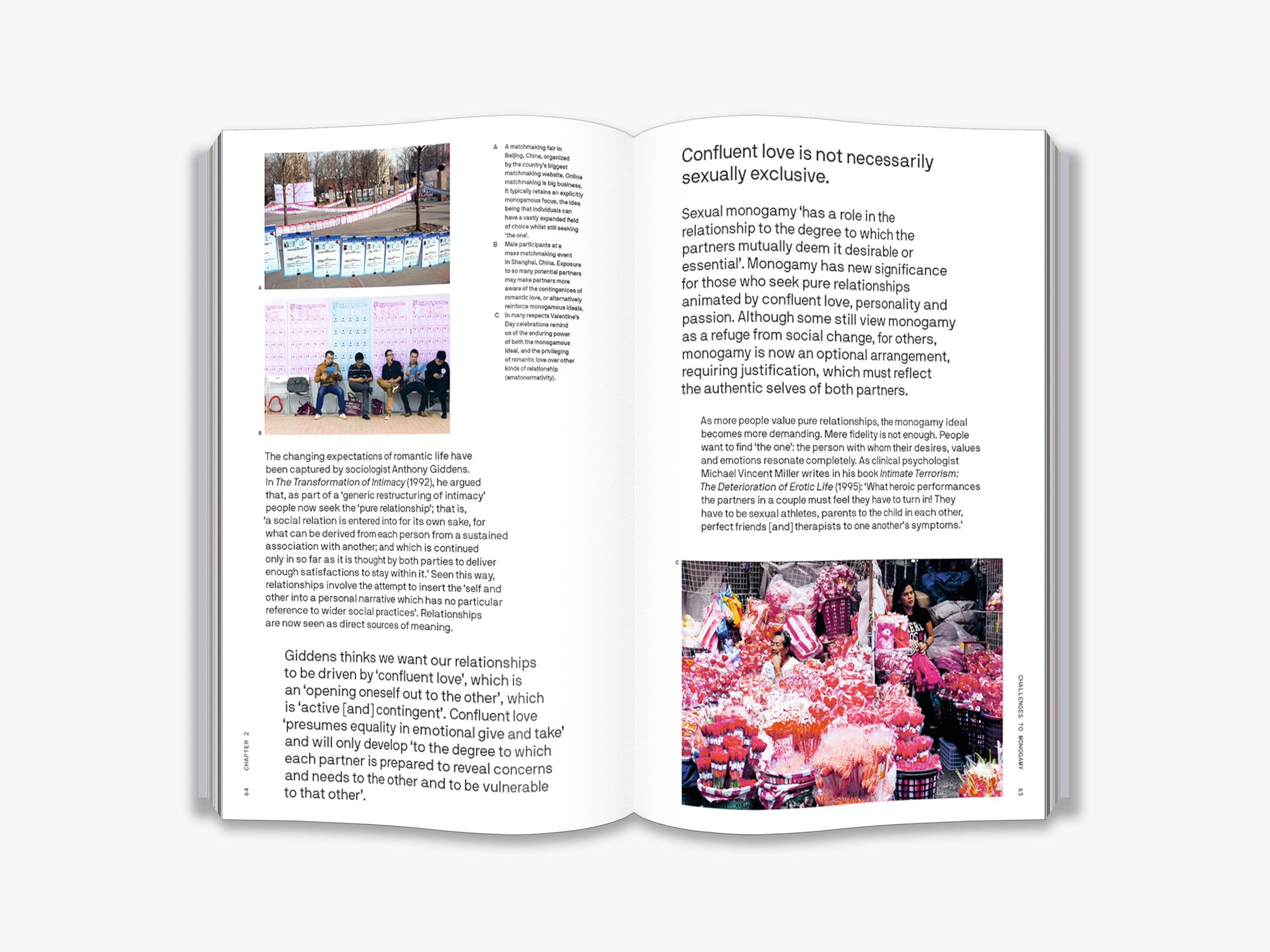 Does Monogamy Work? Exploring Modern Relationships - The Big Idea Book on Love, Commitment & Marriage for Couples and Relationship Counselors
