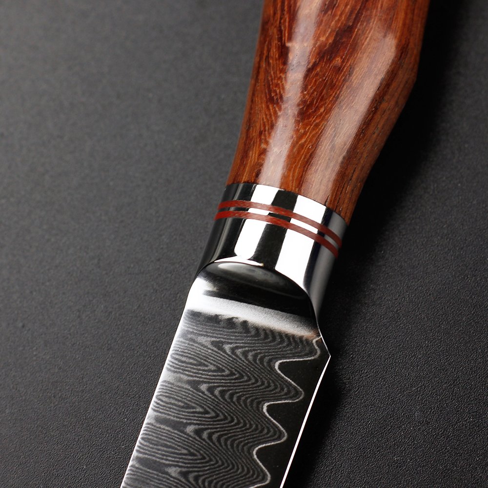 Premium 3.5 Inch Damascus Steel Paring Knife - Japanese Hammered Fruit & Vegetable Knife with Natural Bloodwood Handle - Perfect for Kitchen, Camping & Gift Giving